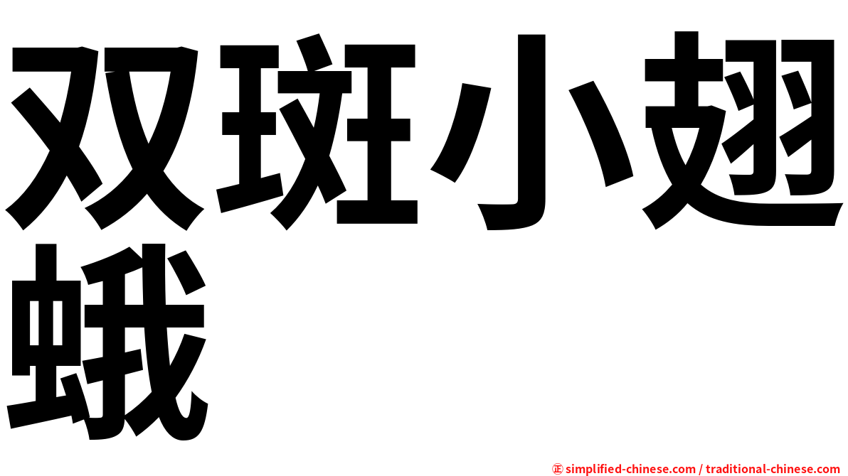双斑小翅蛾