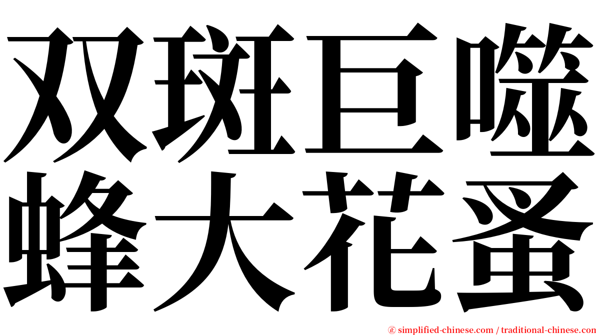 双斑巨噬蜂大花蚤 serif font