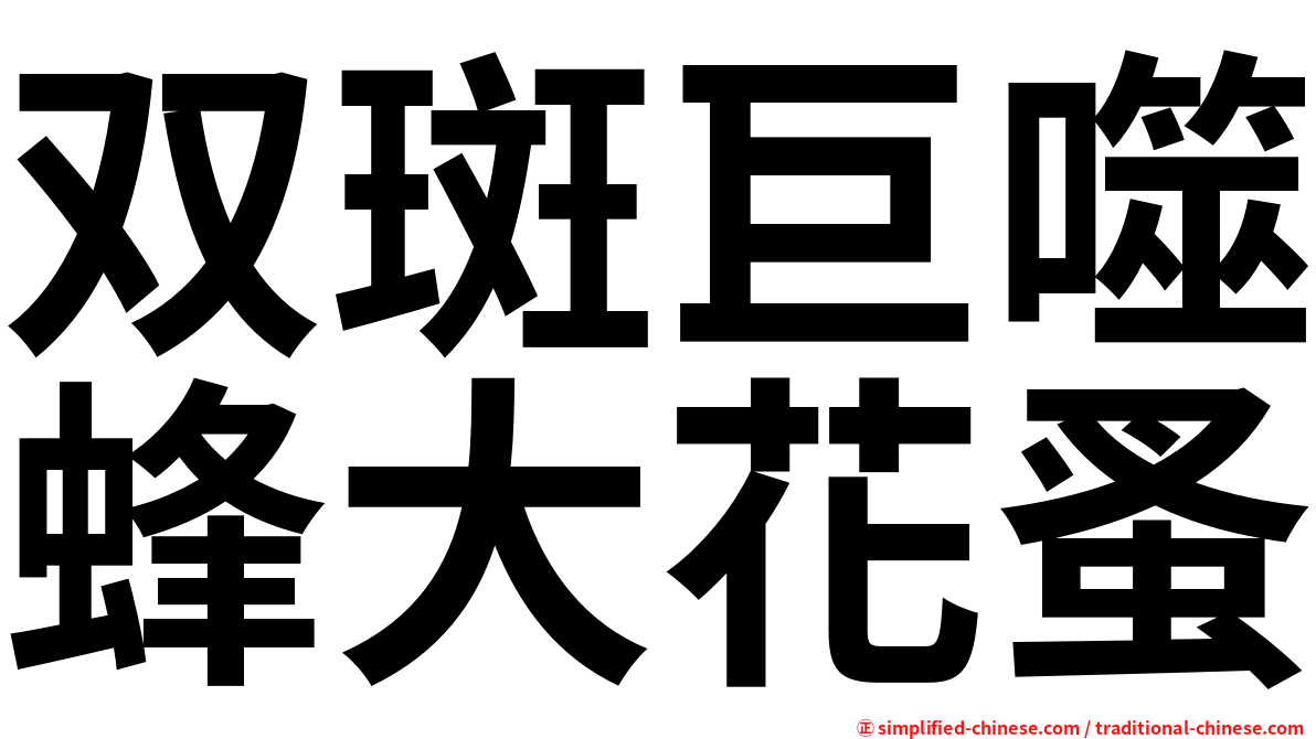 双斑巨噬蜂大花蚤