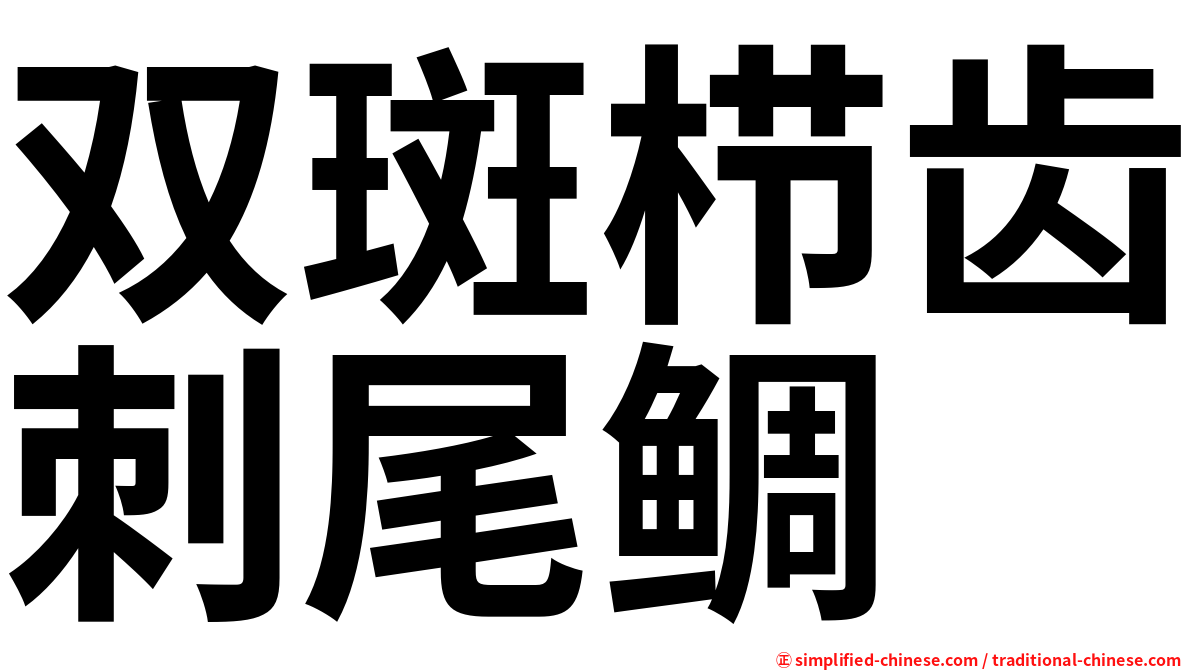 双斑栉齿刺尾鲷