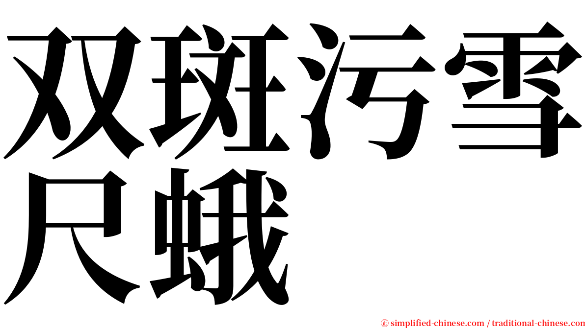 双斑污雪尺蛾 serif font