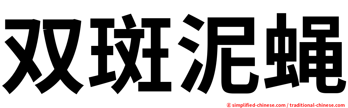 双斑泥蝇