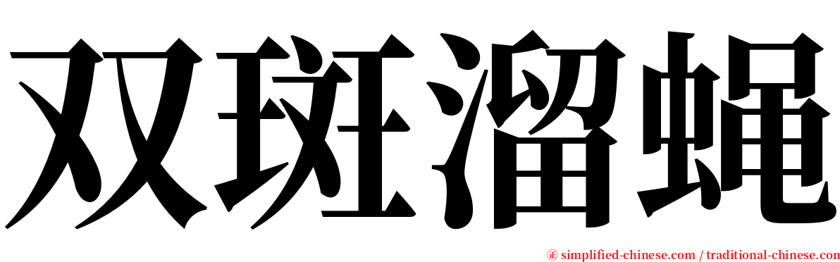双斑溜蝇 serif font
