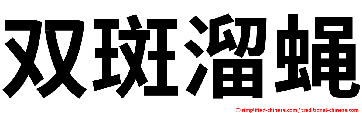 双斑溜蝇