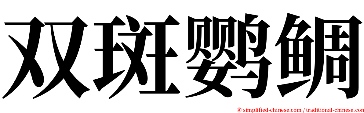 双斑鹦鲷 serif font
