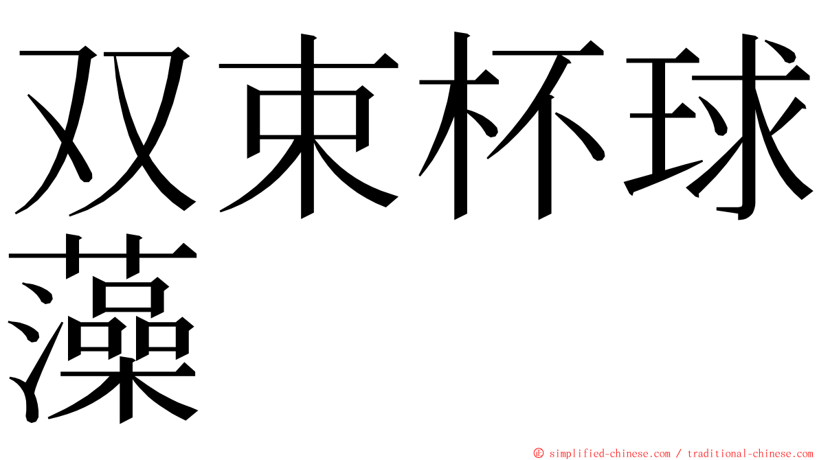 双束杯球藻 ming font