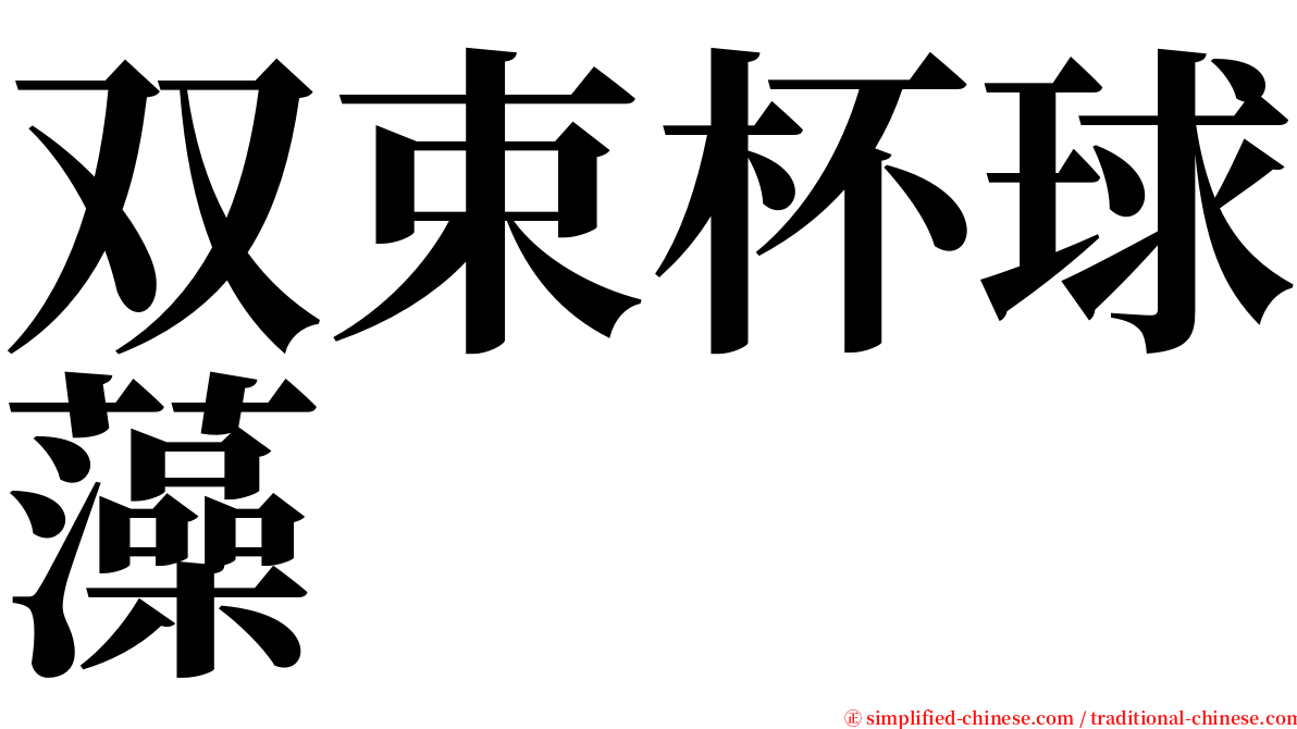 双束杯球藻 serif font