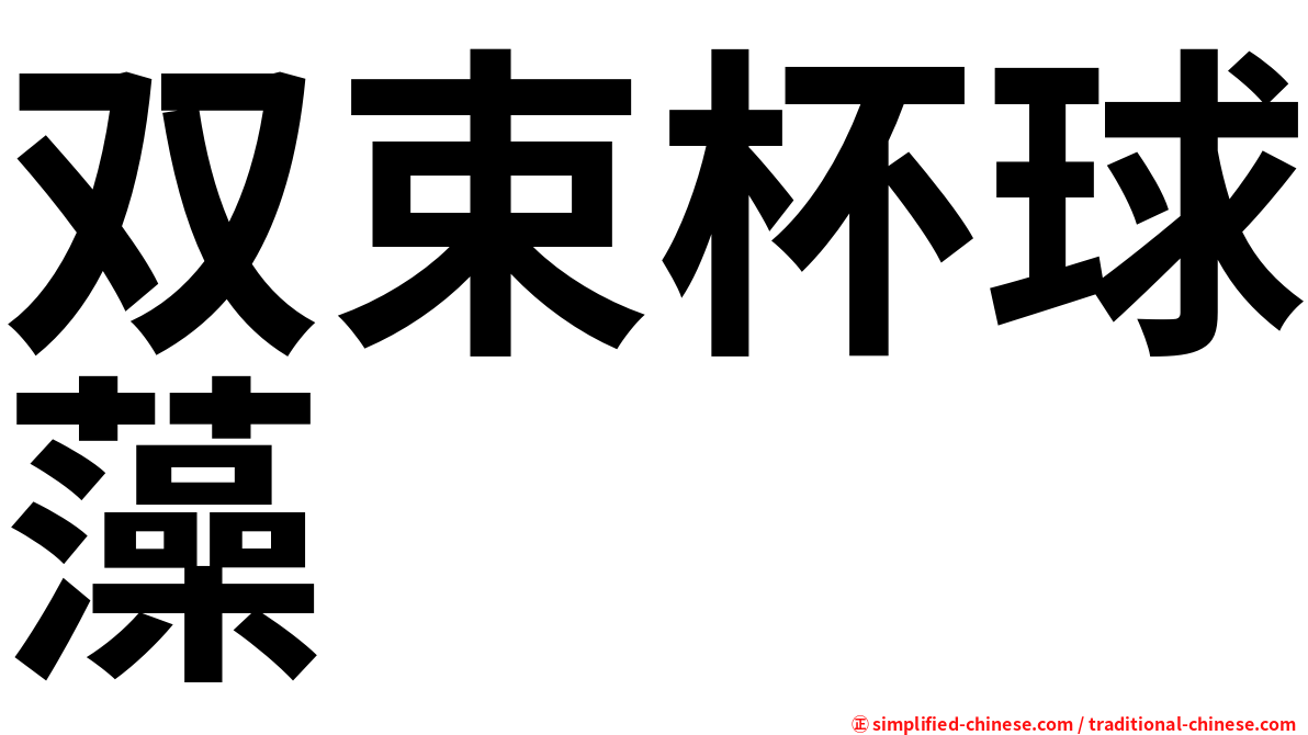 双束杯球藻