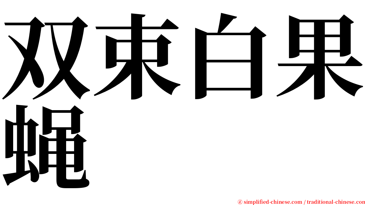 双束白果蝇 serif font