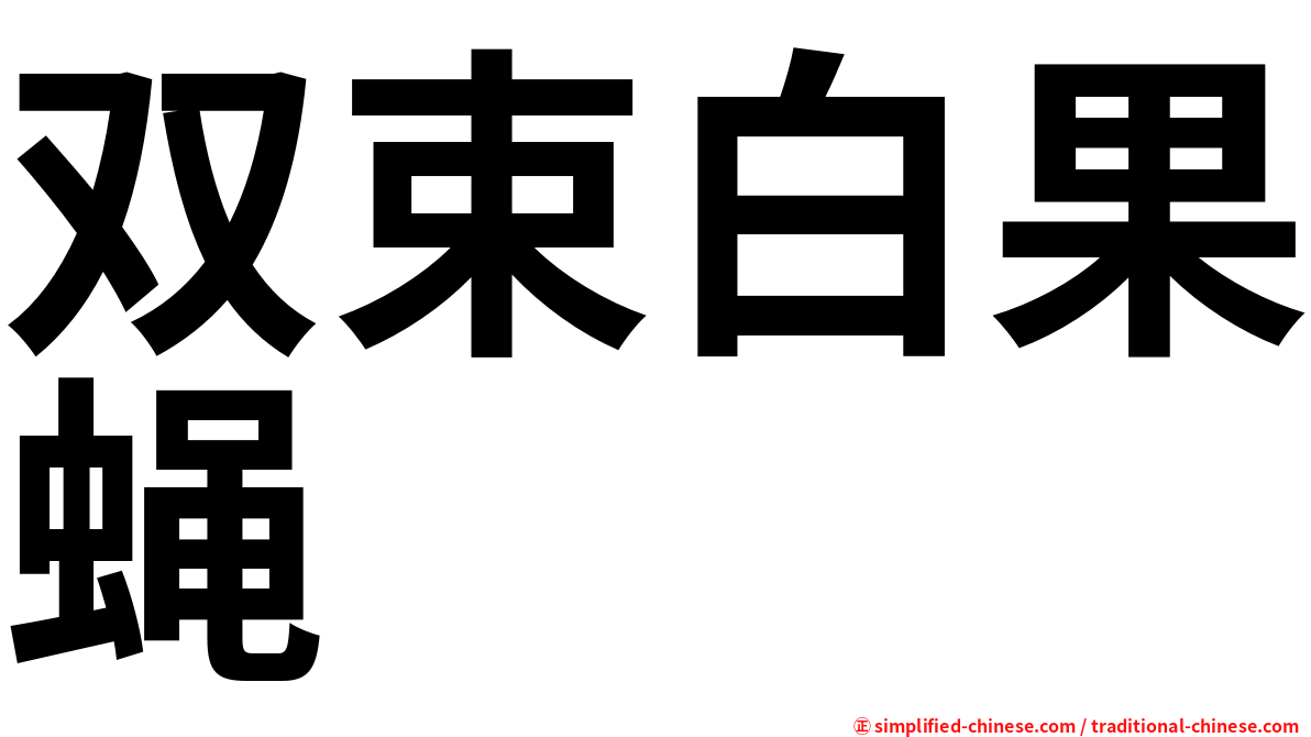 双束白果蝇