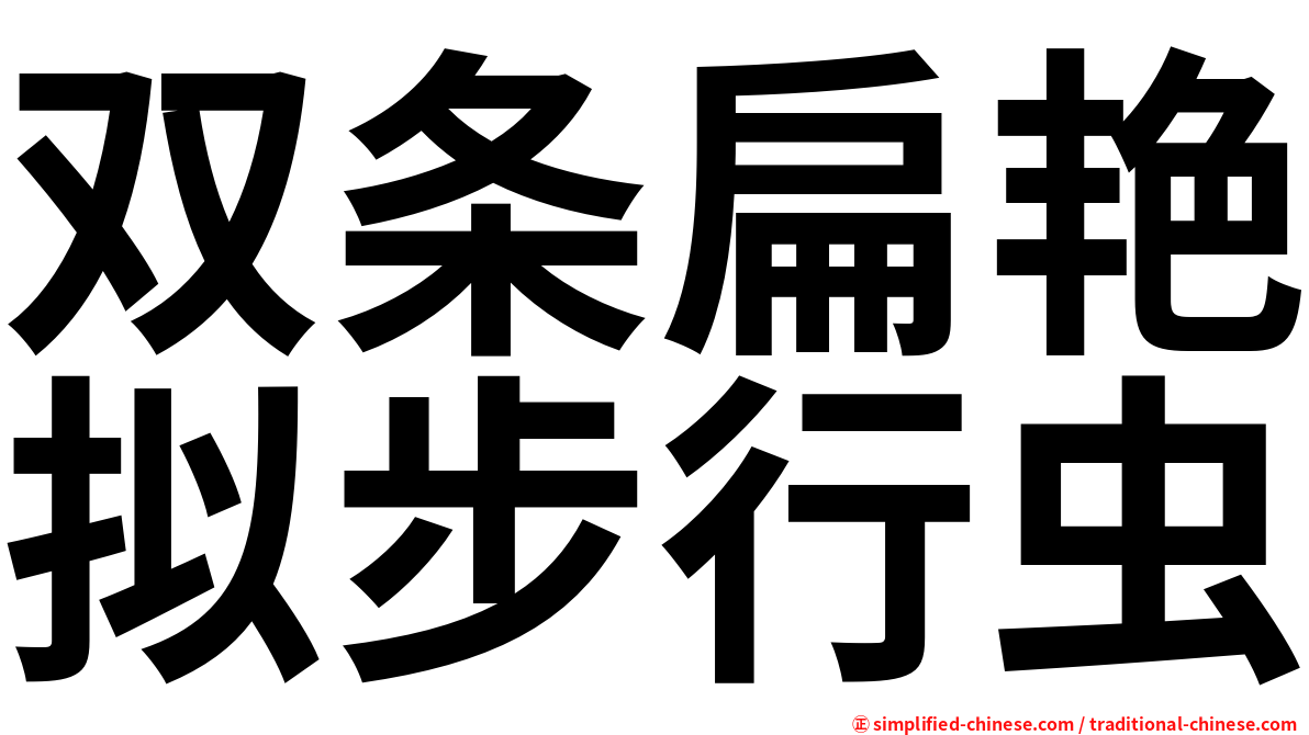 双条扁艳拟步行虫