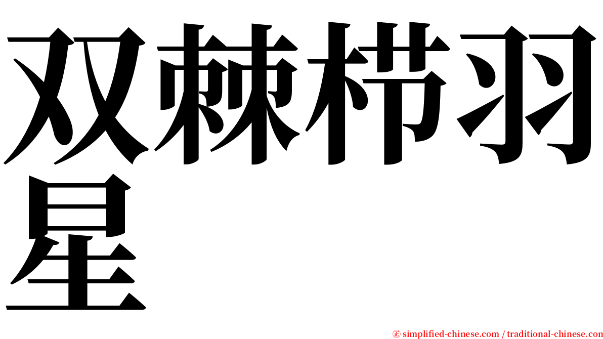 双棘栉羽星 serif font