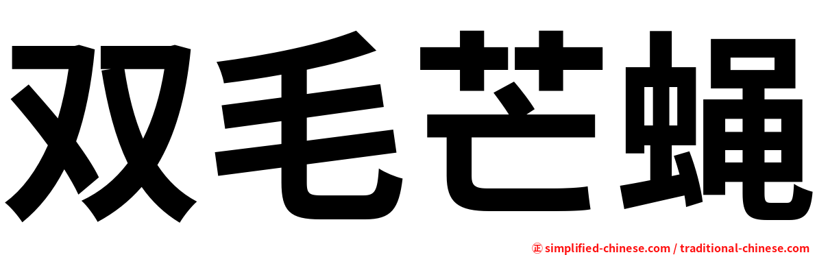 双毛芒蝇