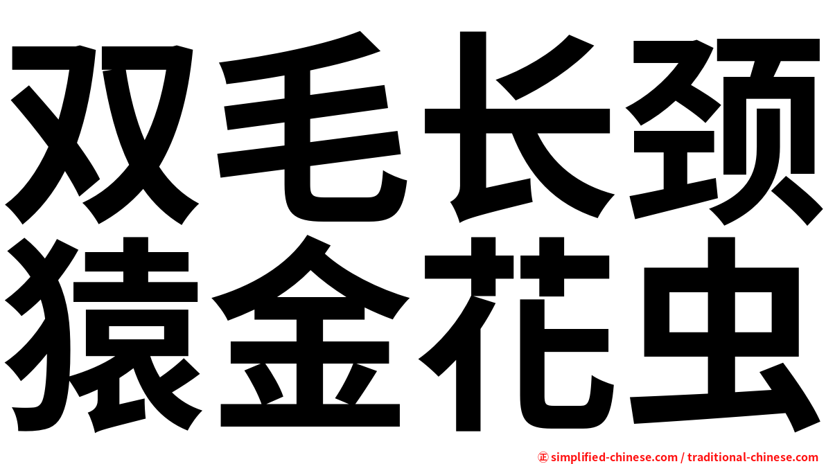 双毛长颈猿金花虫