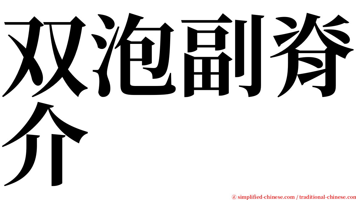 双泡副脊介 serif font