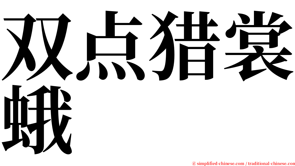 双点猎裳蛾 serif font