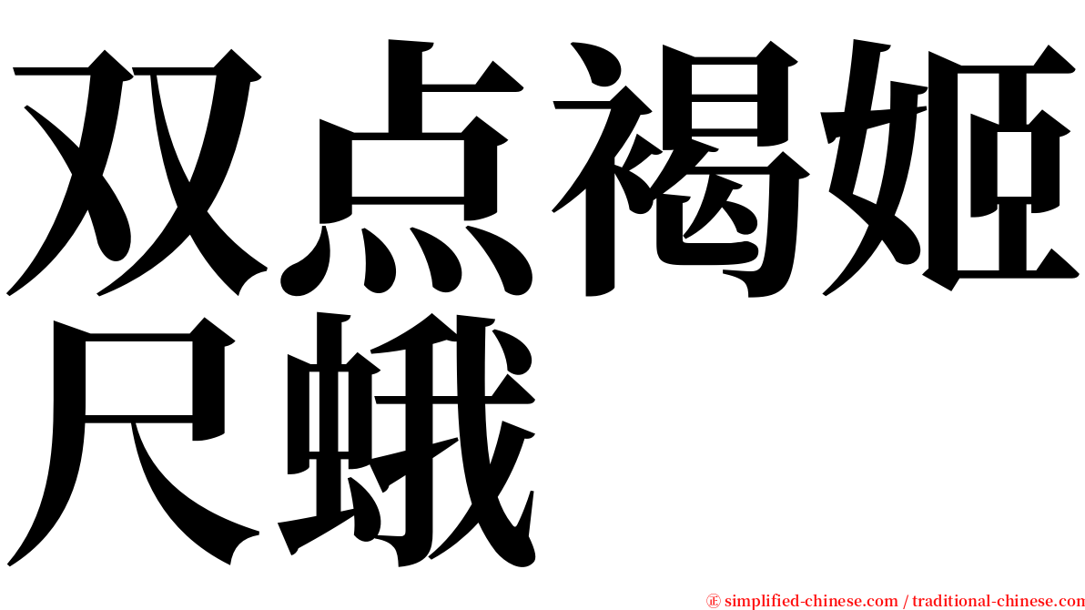 双点褐姬尺蛾 serif font