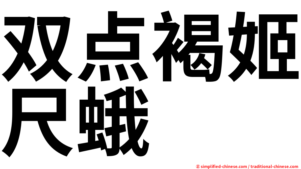 双点褐姬尺蛾