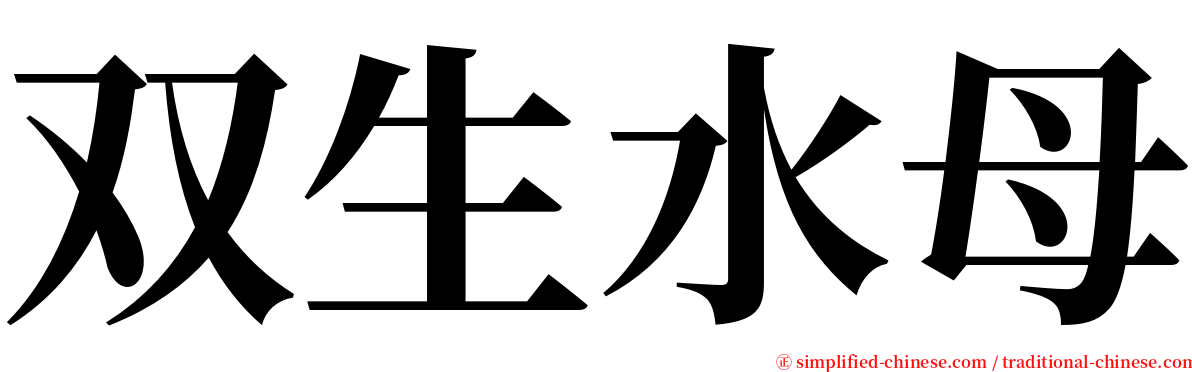 双生水母 serif font