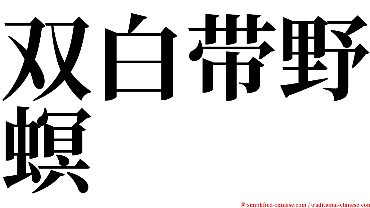 双白带野螟 serif font