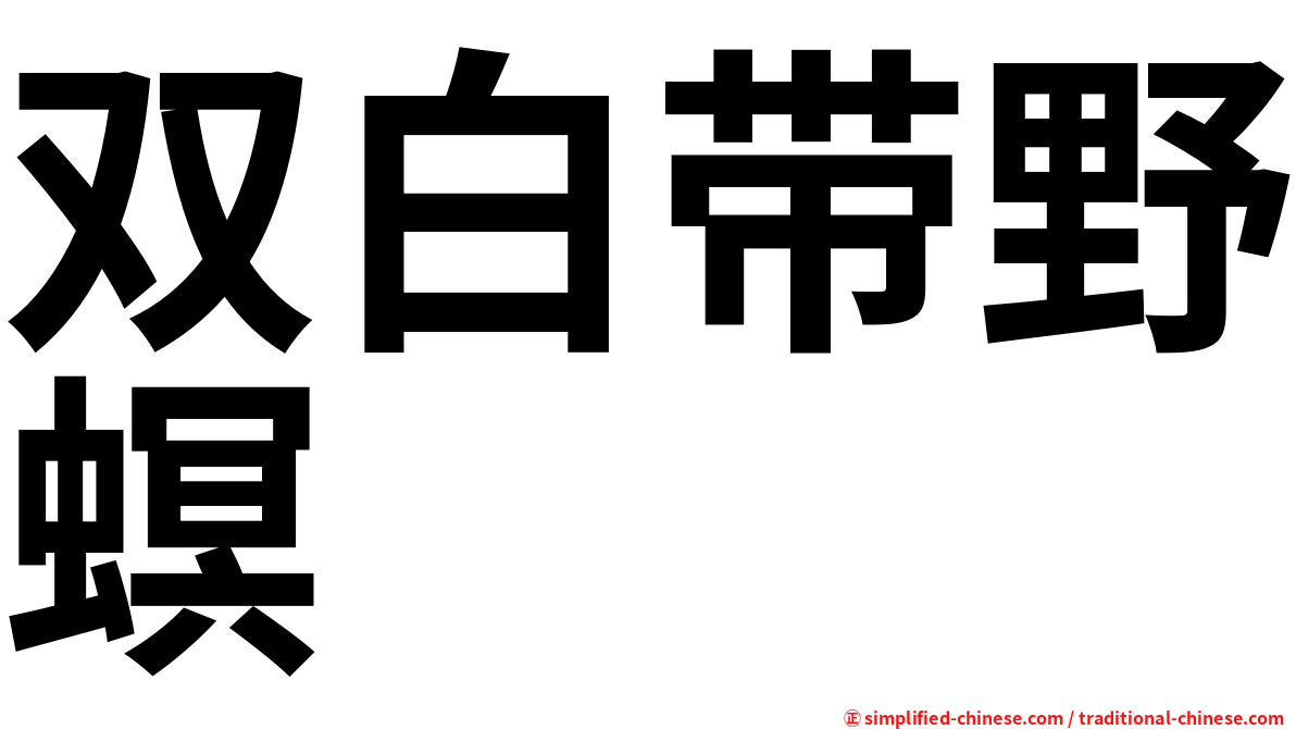 双白带野螟
