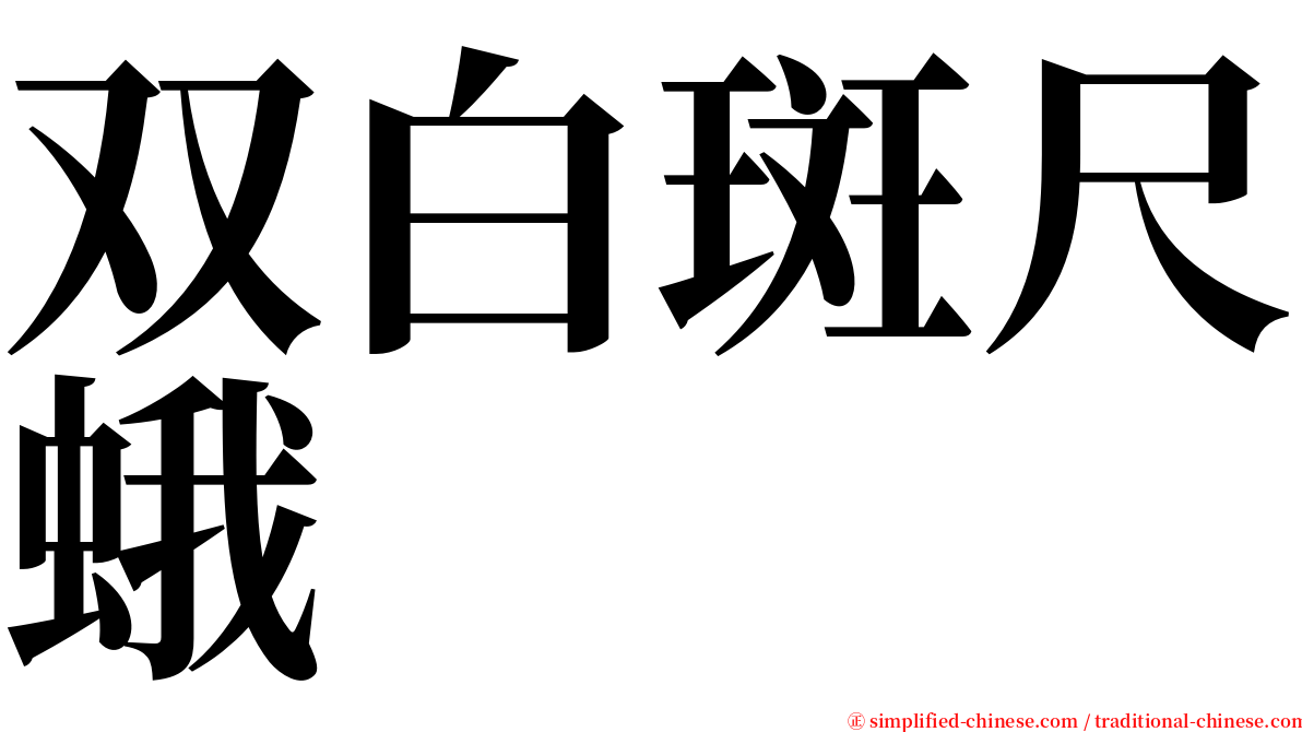 双白斑尺蛾 serif font
