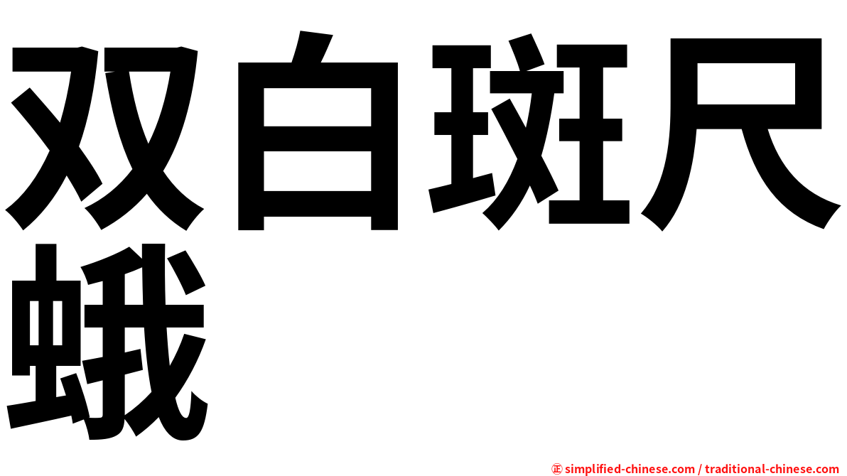 双白斑尺蛾