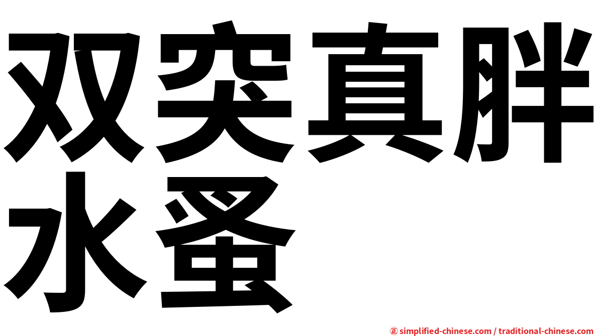 双突真胖水蚤