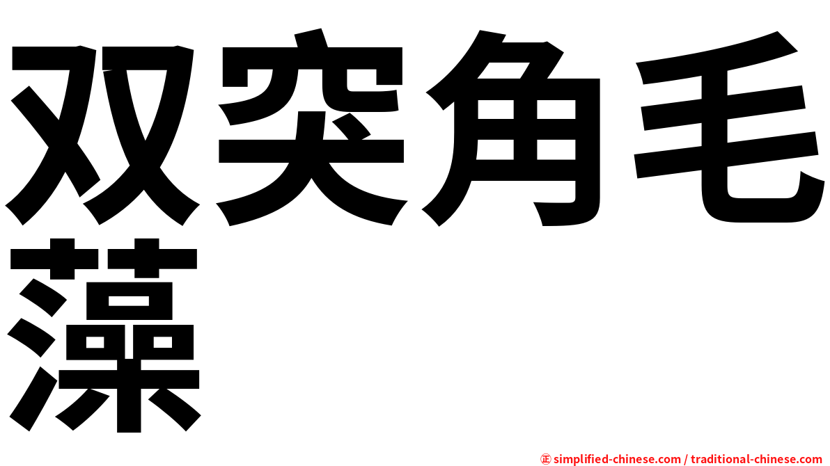 双突角毛藻