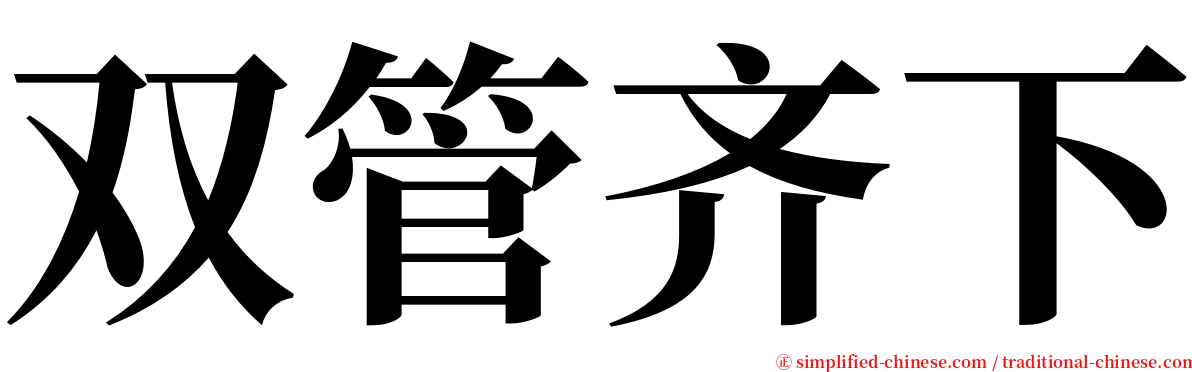 双管齐下 serif font