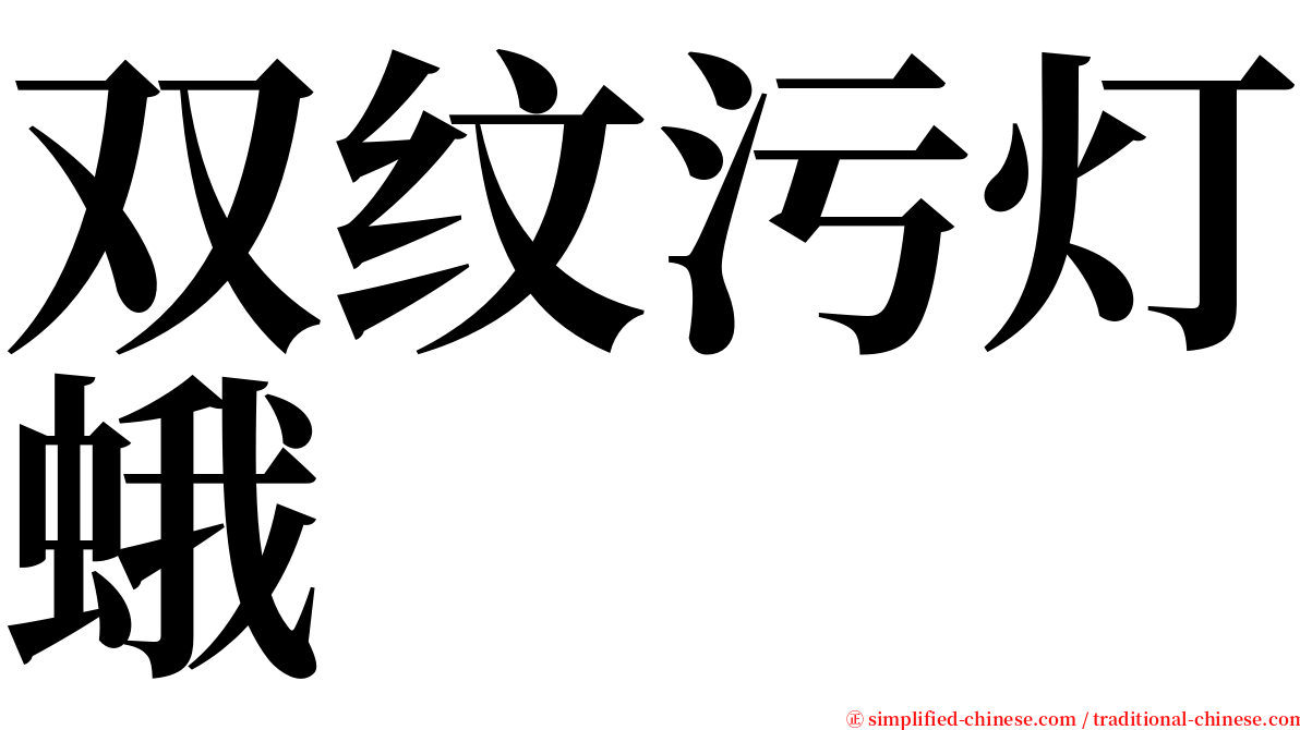 双纹污灯蛾 serif font