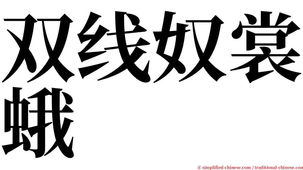 双线奴裳蛾 serif font
