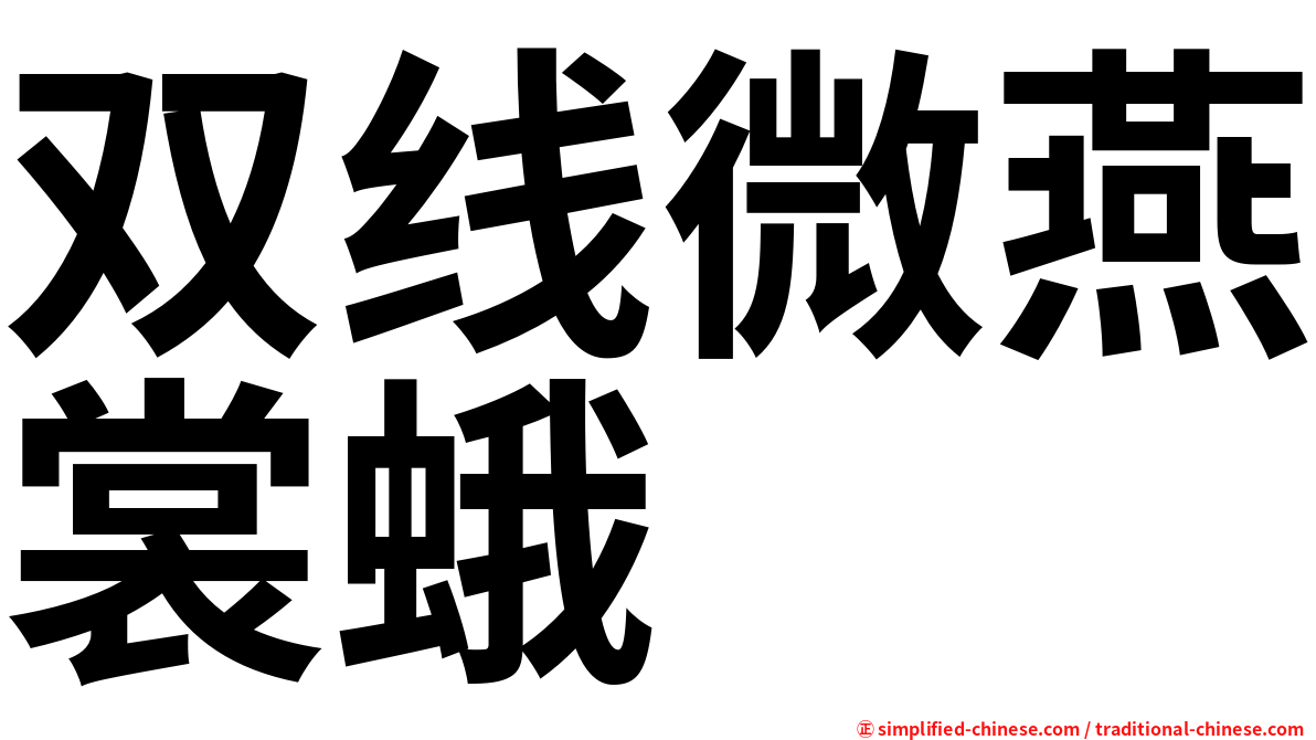 双线微燕裳蛾