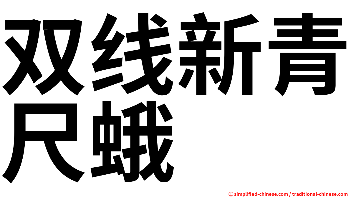 双线新青尺蛾