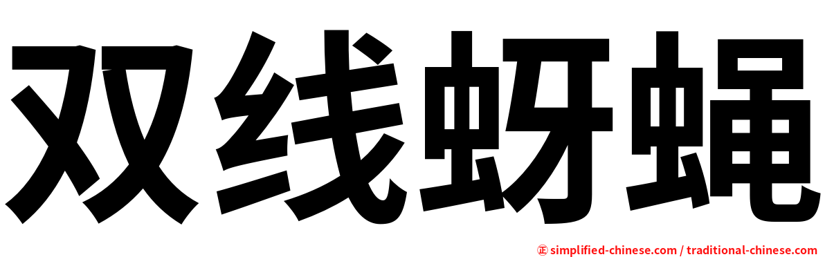 双线蚜蝇