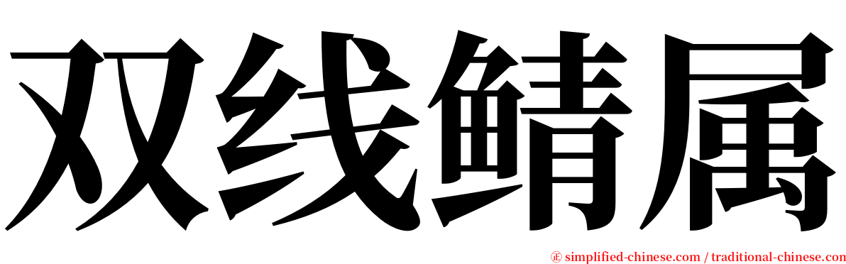 双线鲭属 serif font