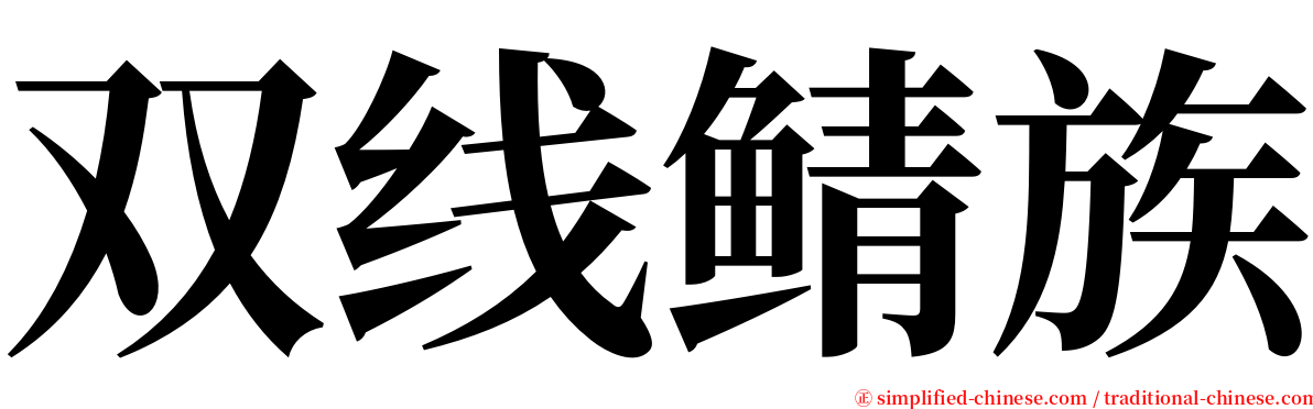 双线鲭族 serif font