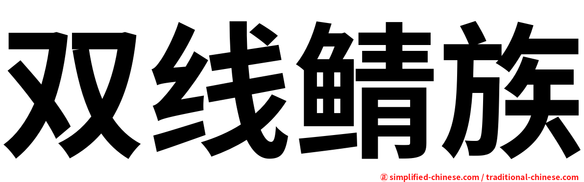 双线鲭族
