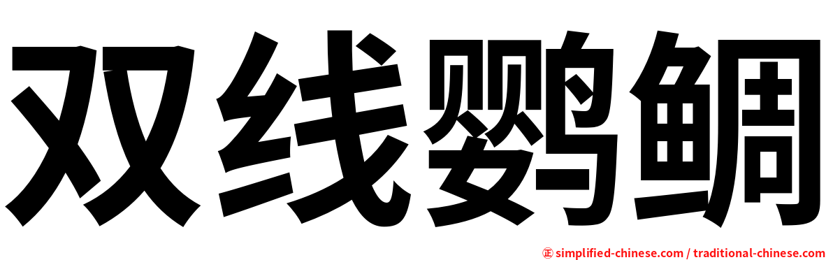 双线鹦鲷