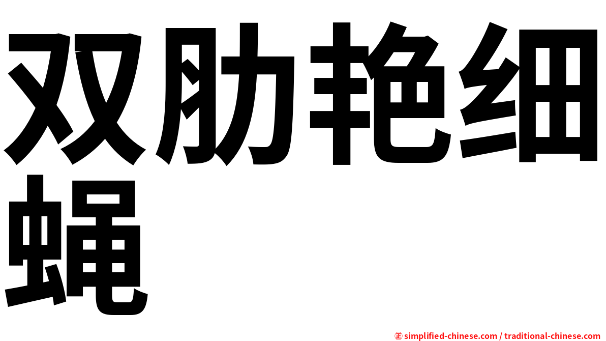 双肋艳细蝇
