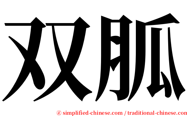 双胍 serif font