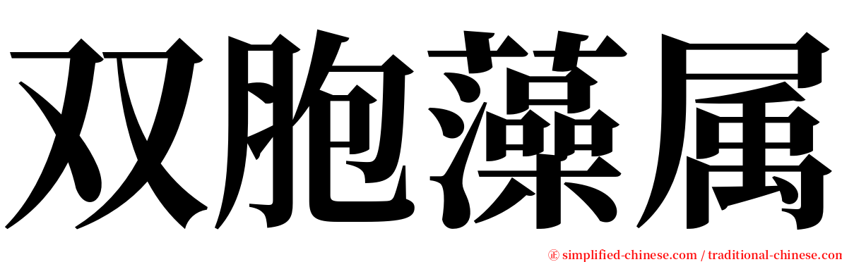 双胞藻属 serif font