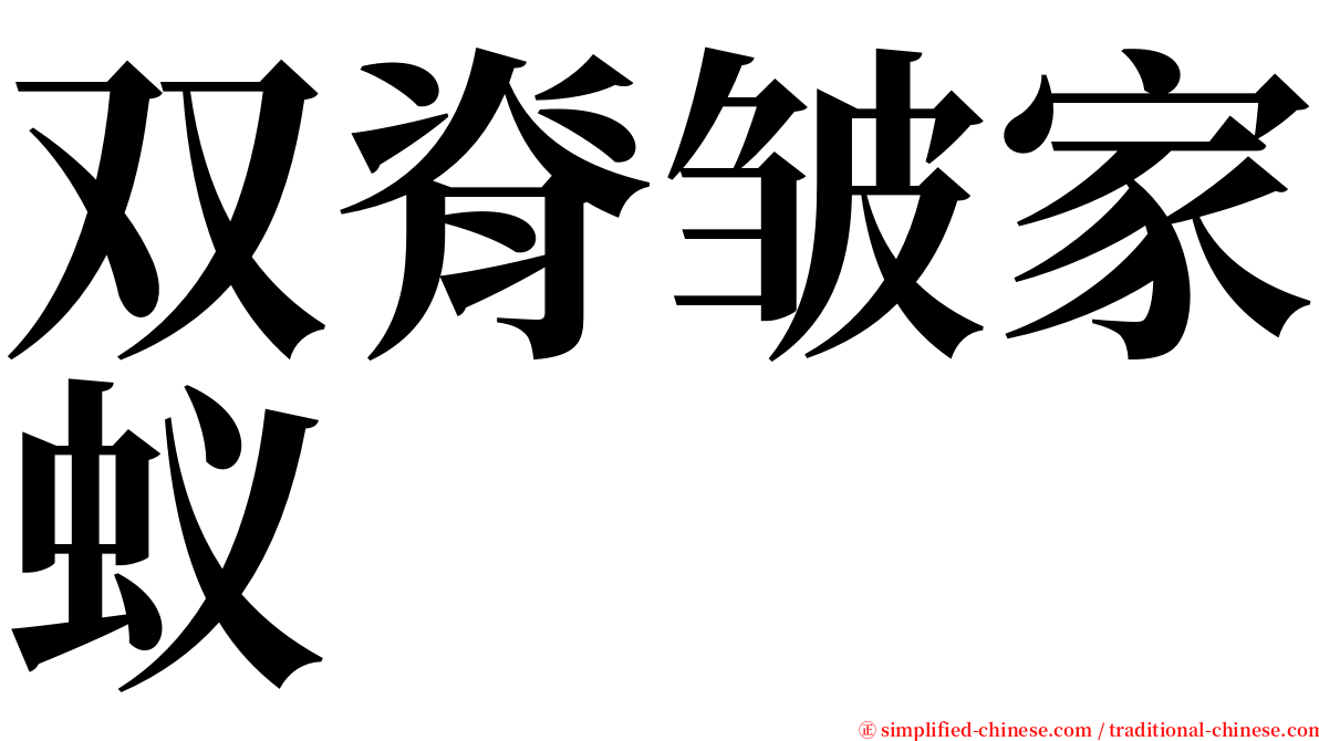 双脊皱家蚁 serif font