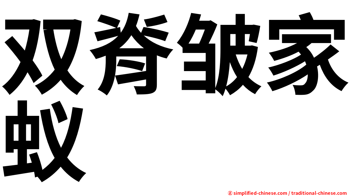 双脊皱家蚁