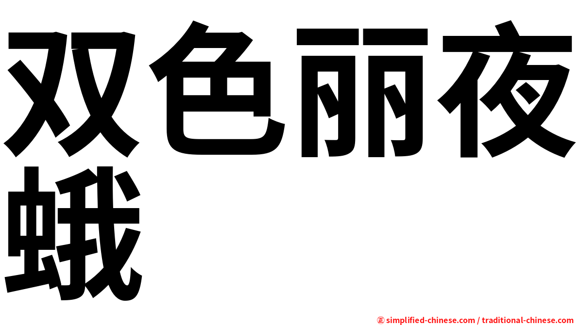 双色丽夜蛾