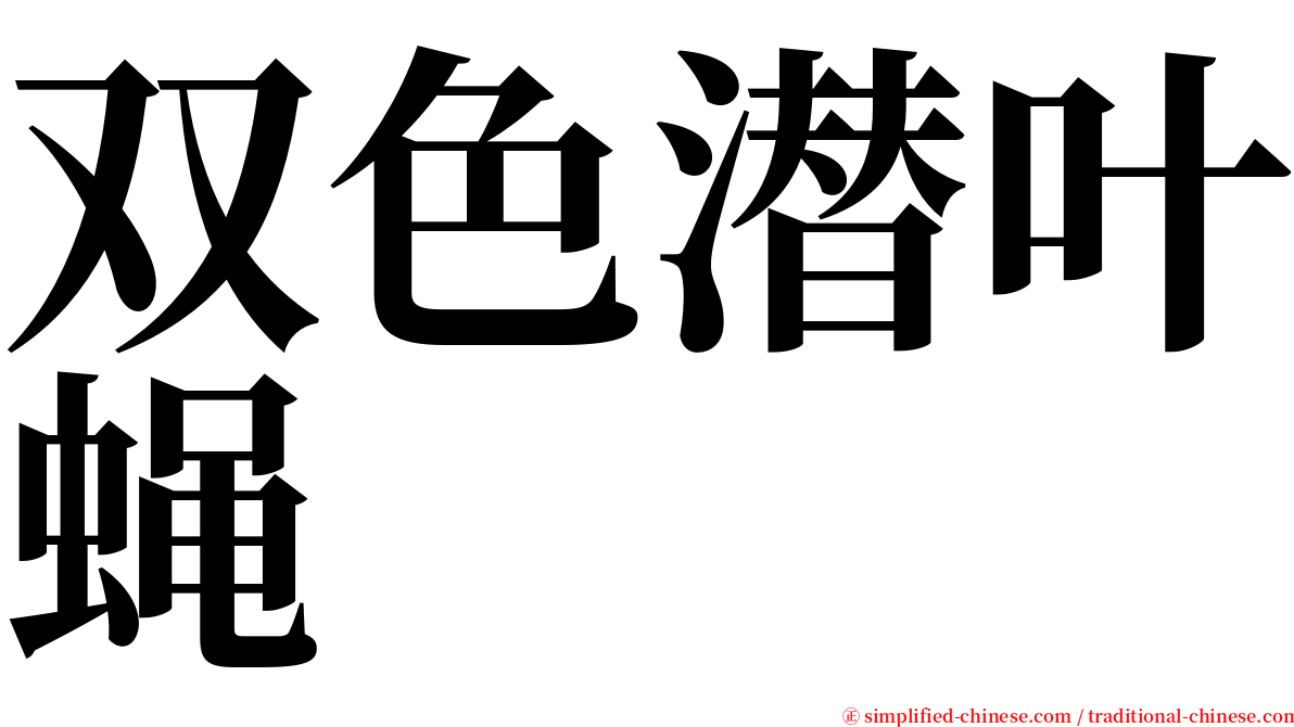 双色潜叶蝇 serif font
