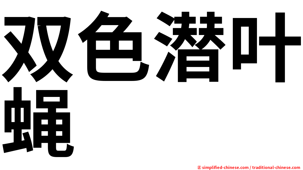 双色潜叶蝇