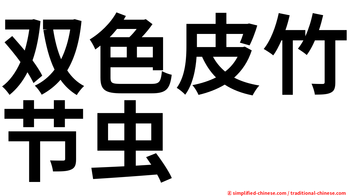 双色皮竹节虫