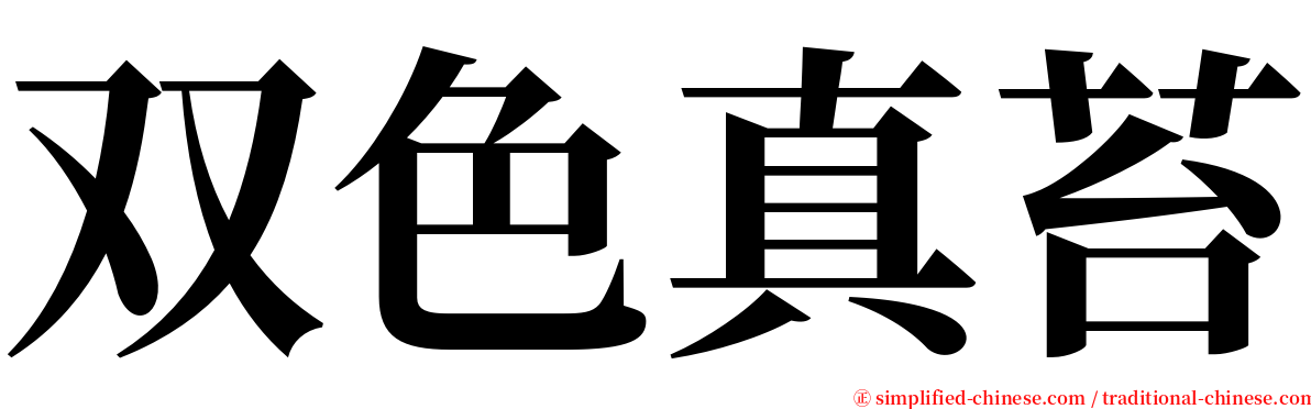 双色真苔 serif font