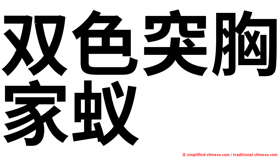 双色突胸家蚁